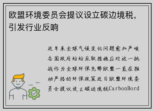欧盟环境委员会提议设立碳边境税，引发行业反响